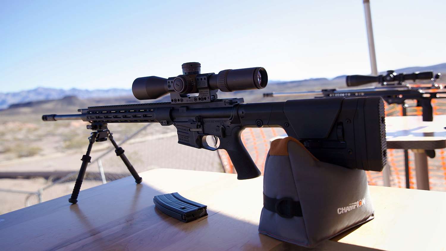 Savage Arms MSR Valkyrie