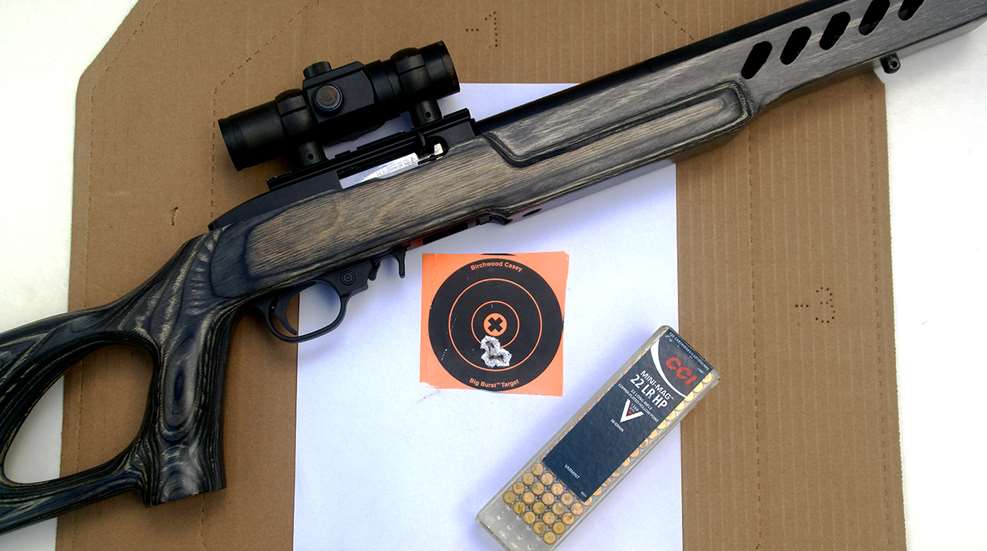 1-ruger1022_targetlite.jpg