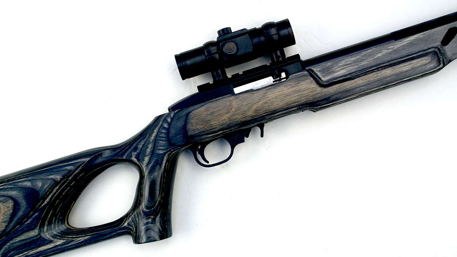 Ruger 10/22 Target Lite stock