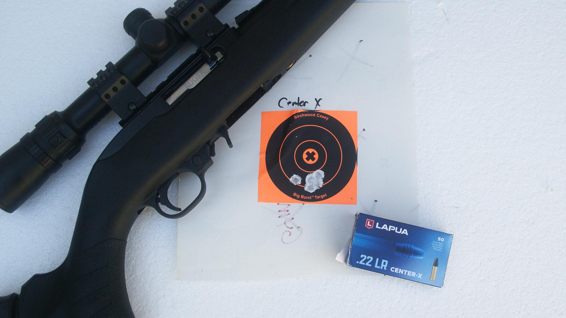 Ruger 10/22 Compact and Lapua Center-X .22 LR