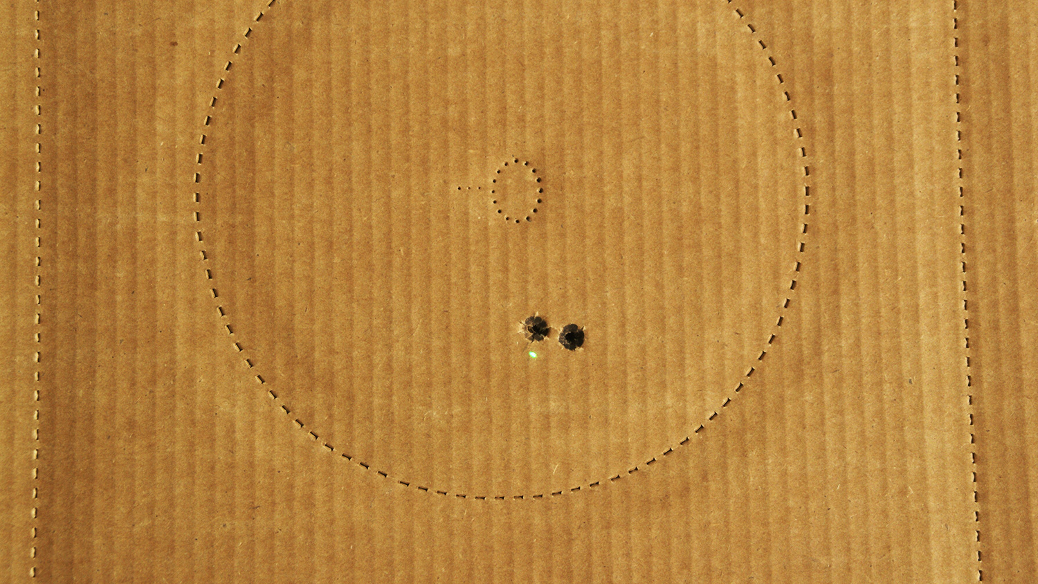 Laser dot used in IDPA competition