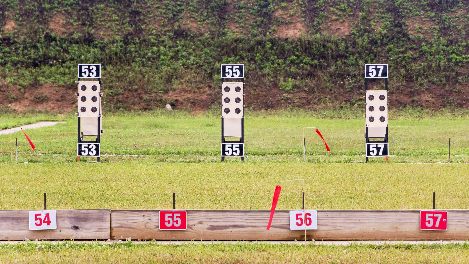 Smallbore targets