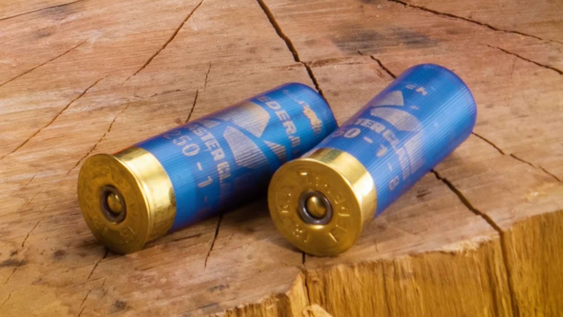 Federal Master Class shotshells on wood