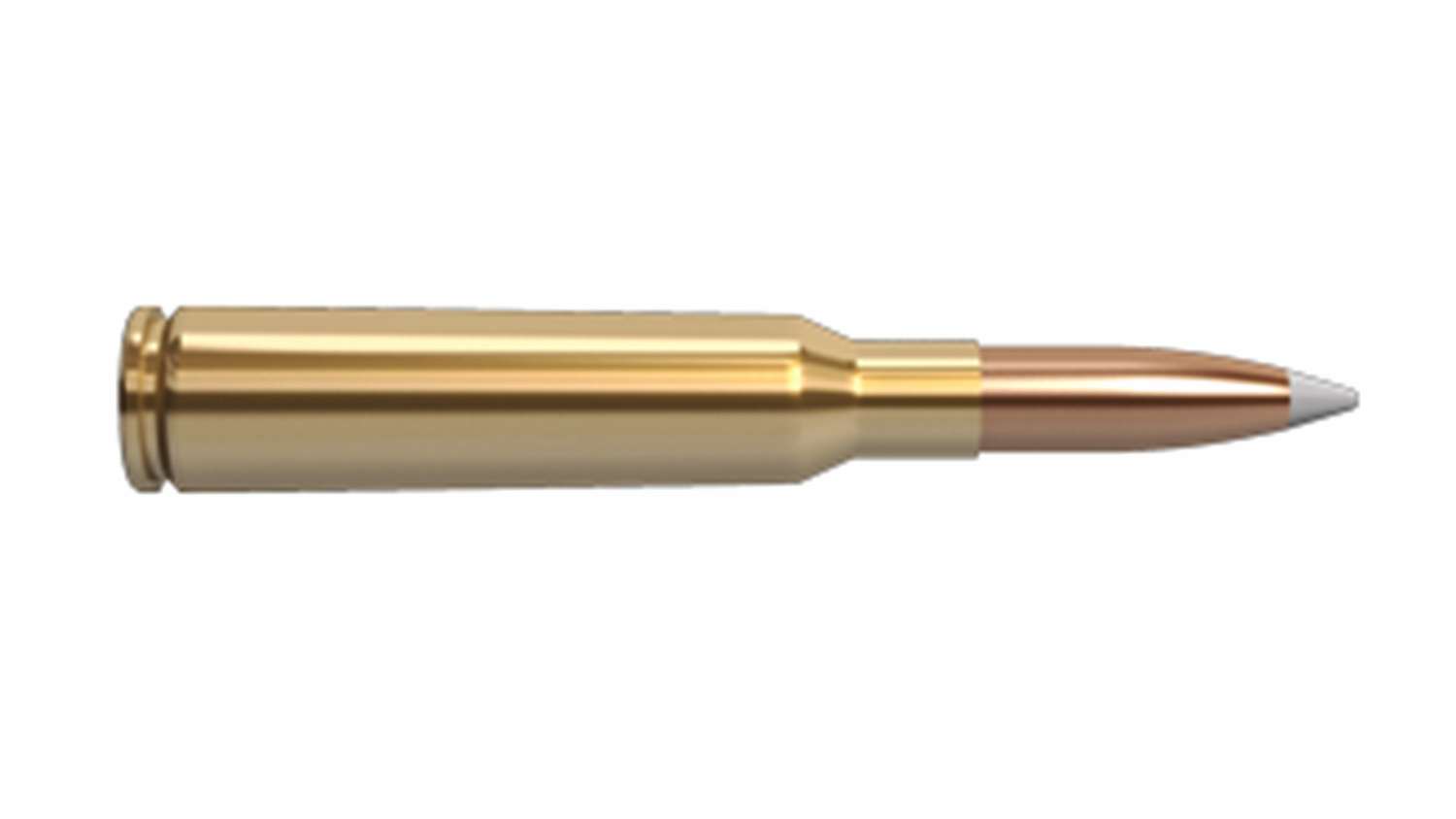 Nosler 6.5x55 mm round