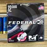 Federalmasterclass 1