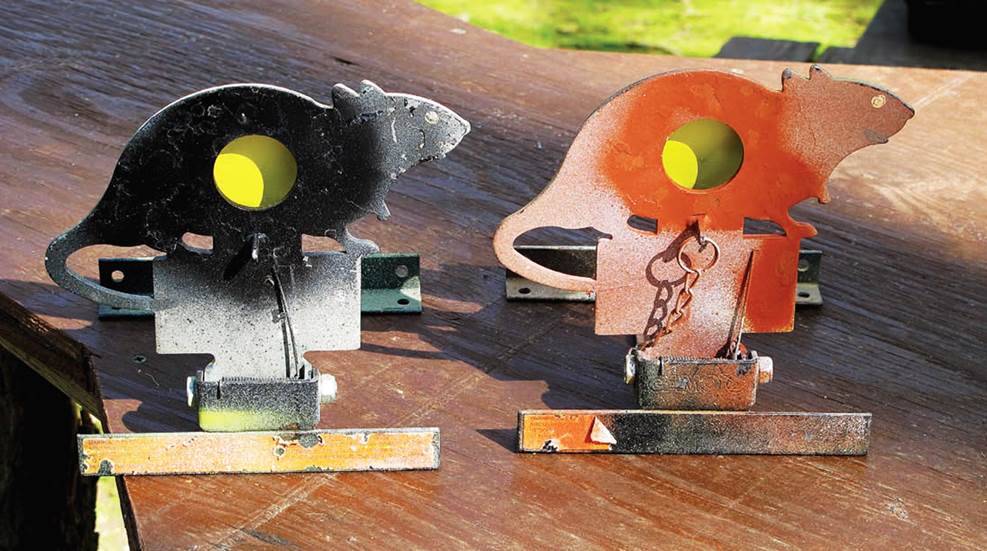 Steel Squirrels & Flying Pellets: The Magic of Air Rifle Field Target ...