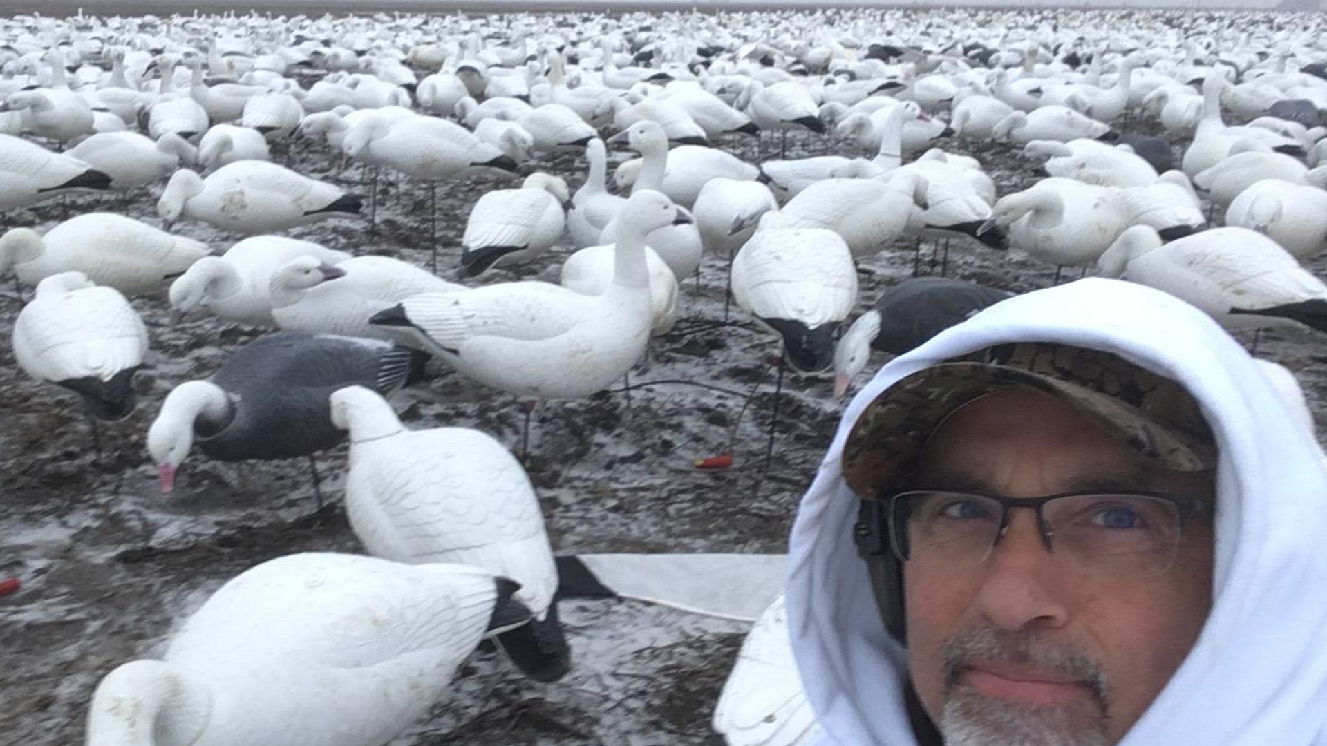 Bruce Piatt snow goose hunting