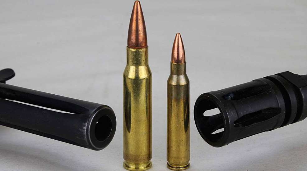 762and556_1.jpg
