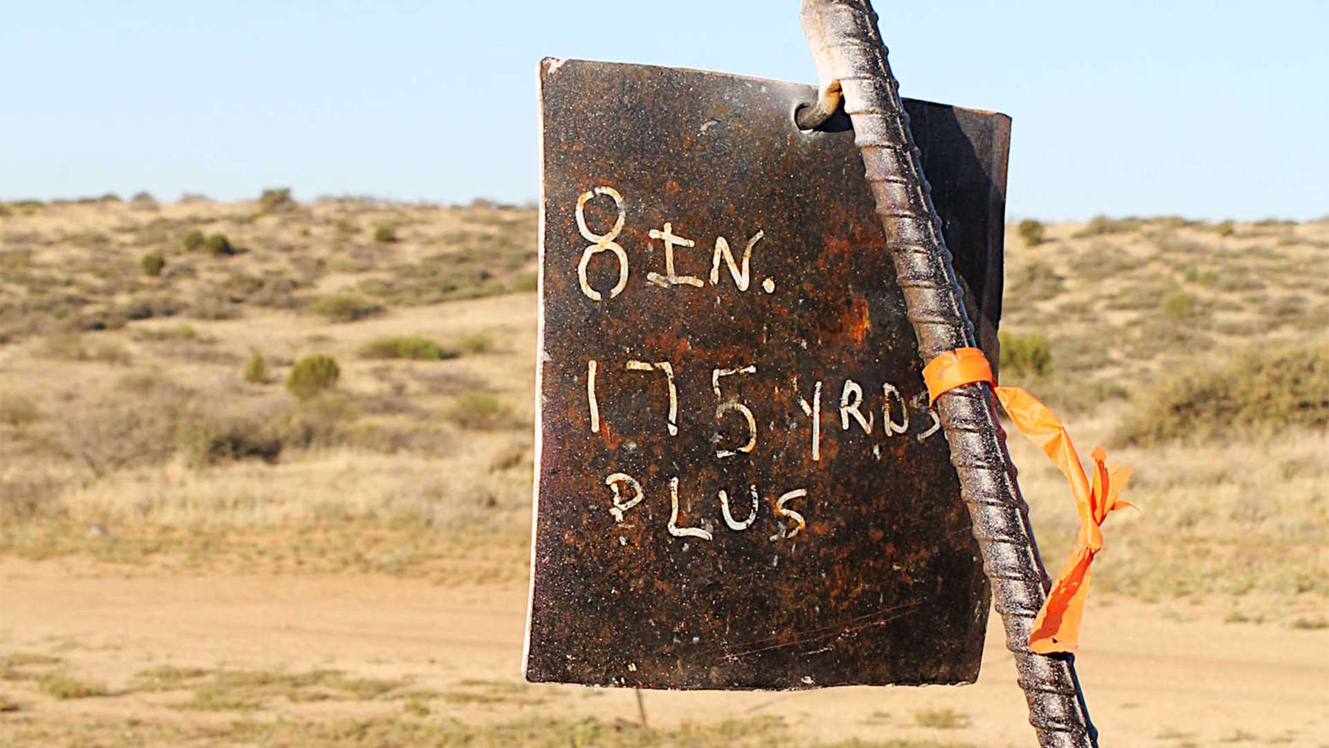 Rimfire long-range 8-inch steel target