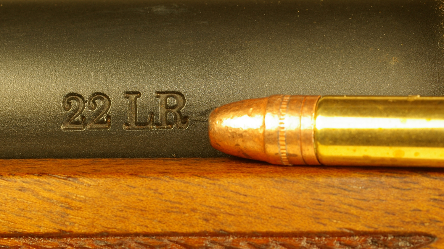 .22 LR rimfire