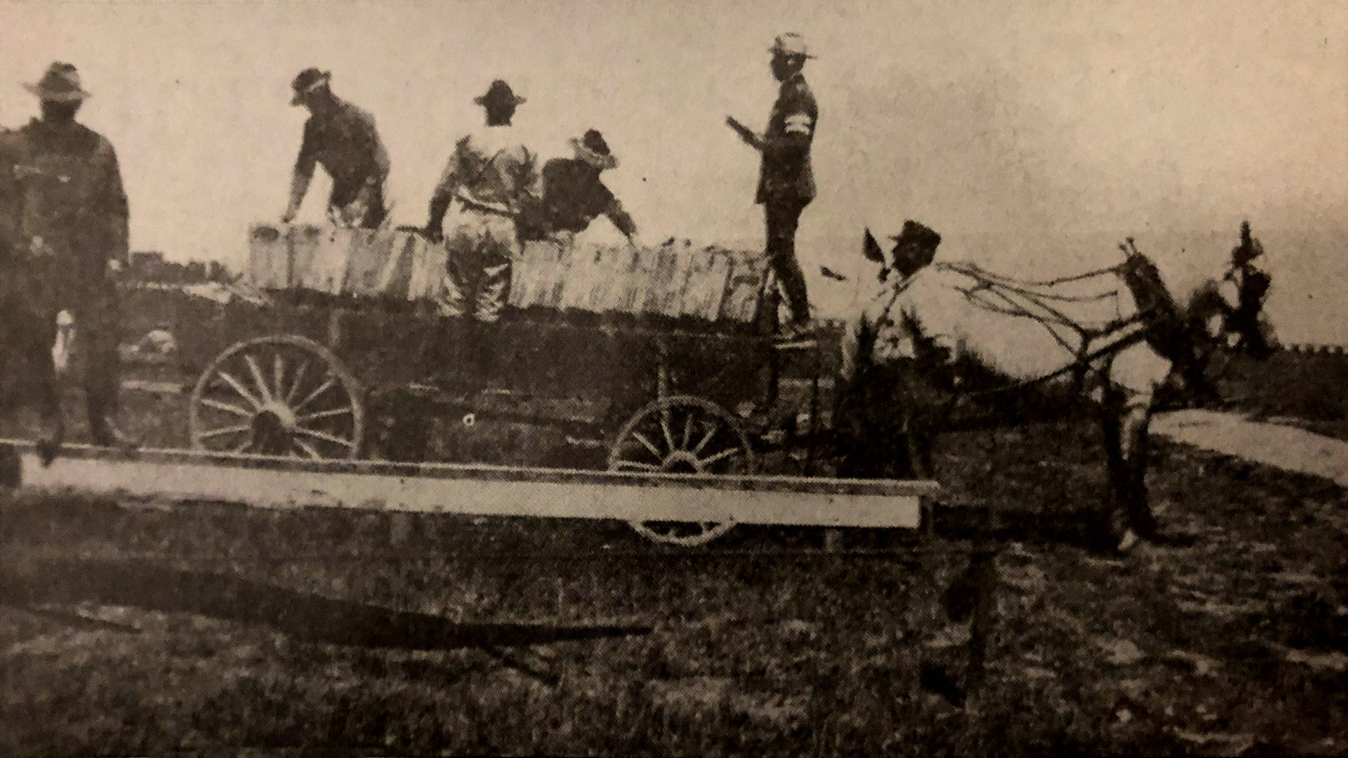 Horse-drawn carts in Jacksonville at the 1916 National Matches