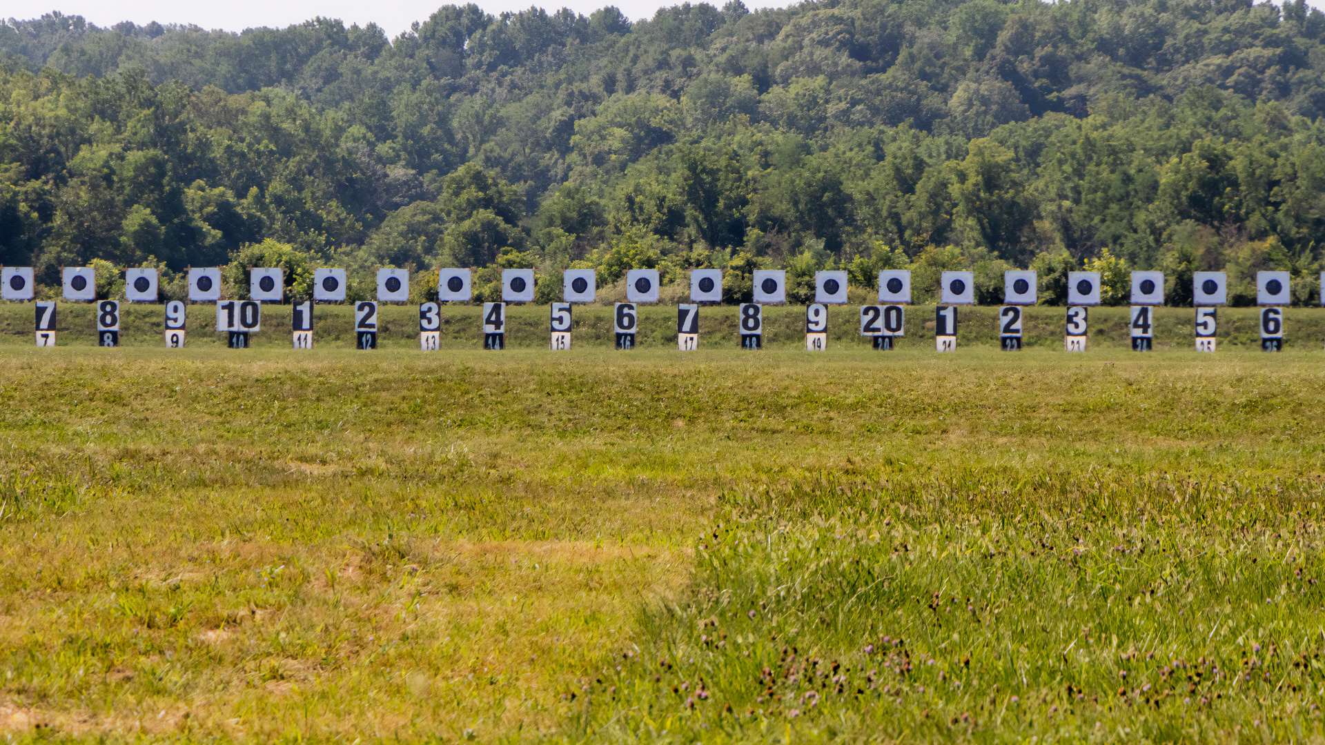 Silver Mountain E-targets