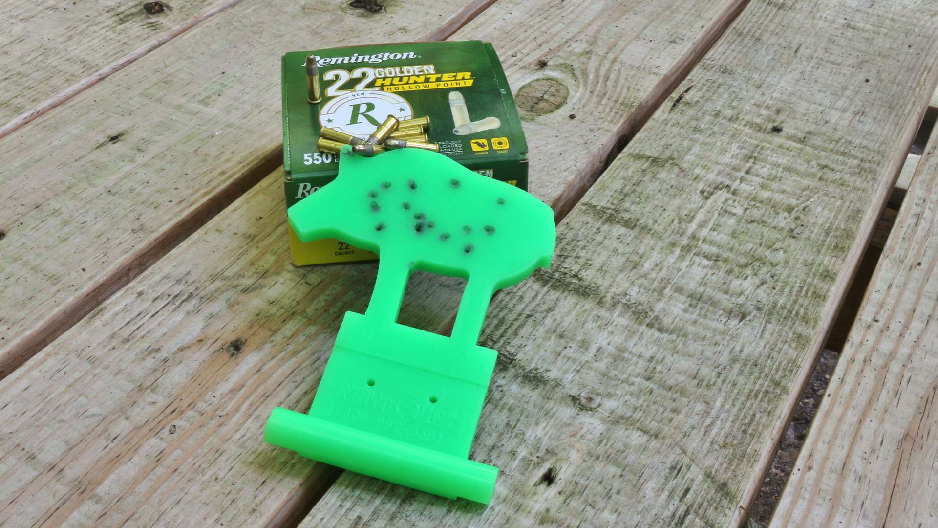 Remington’s Golden Hunter .22 LR vs. Throom Smallbore Silhouette target