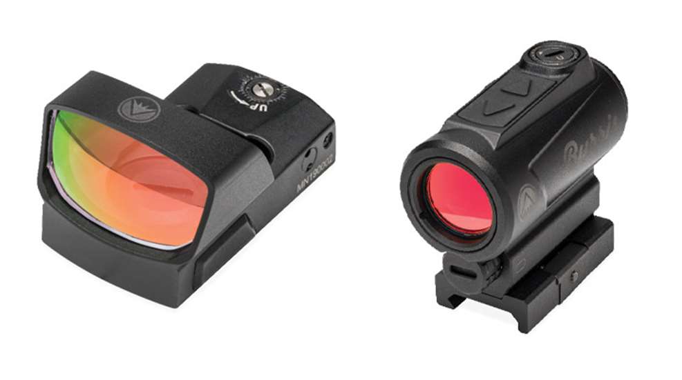 burris2020reddots.jpg