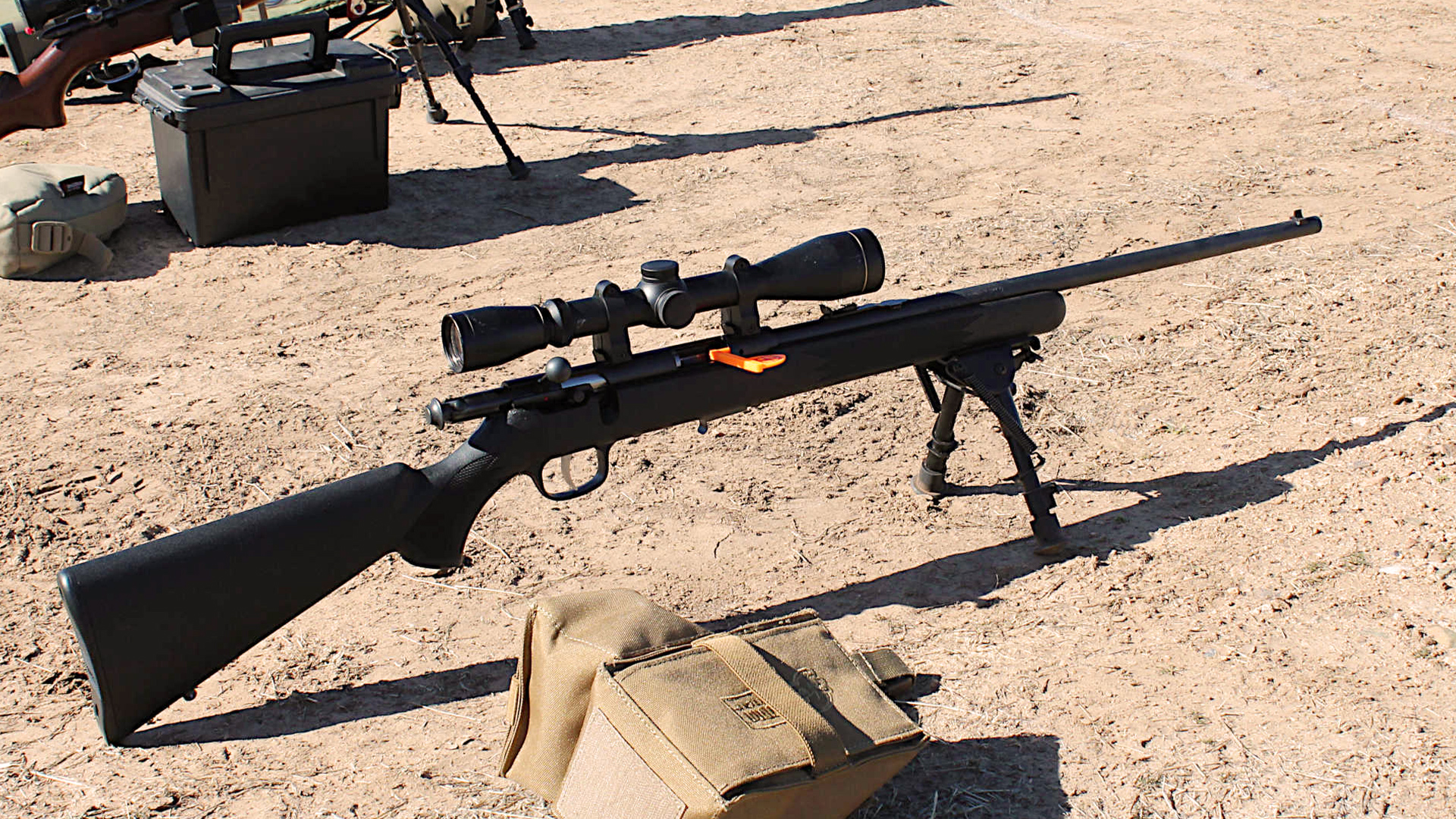 Savage rifle and Leupold optic