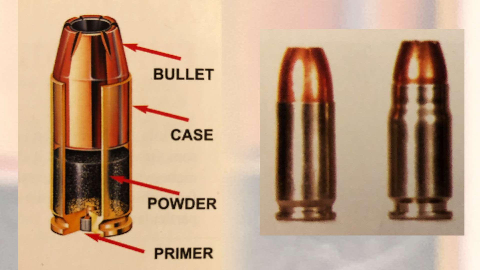 Pistol cartridge cutaway