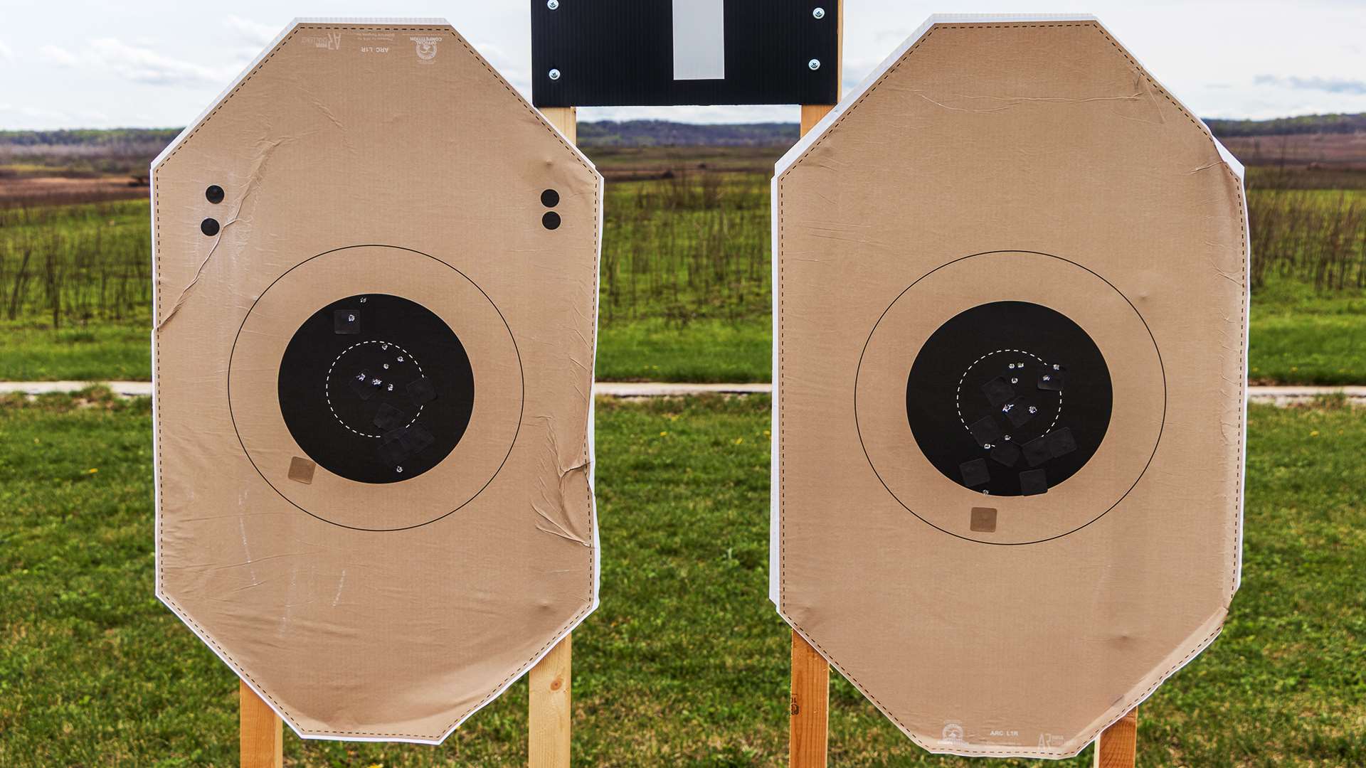 ARC-L1R target