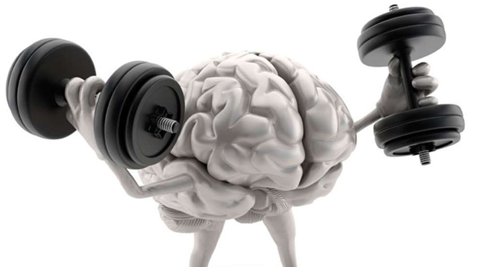 brain.jpg