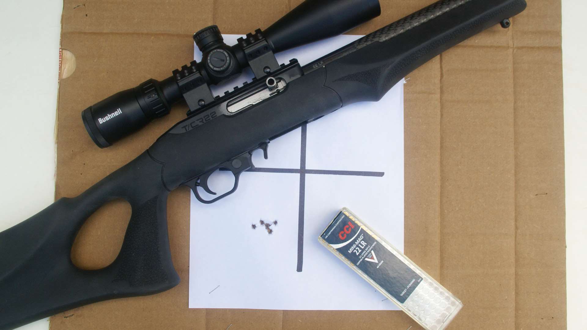 T/CR22 100-yard rimfire performance