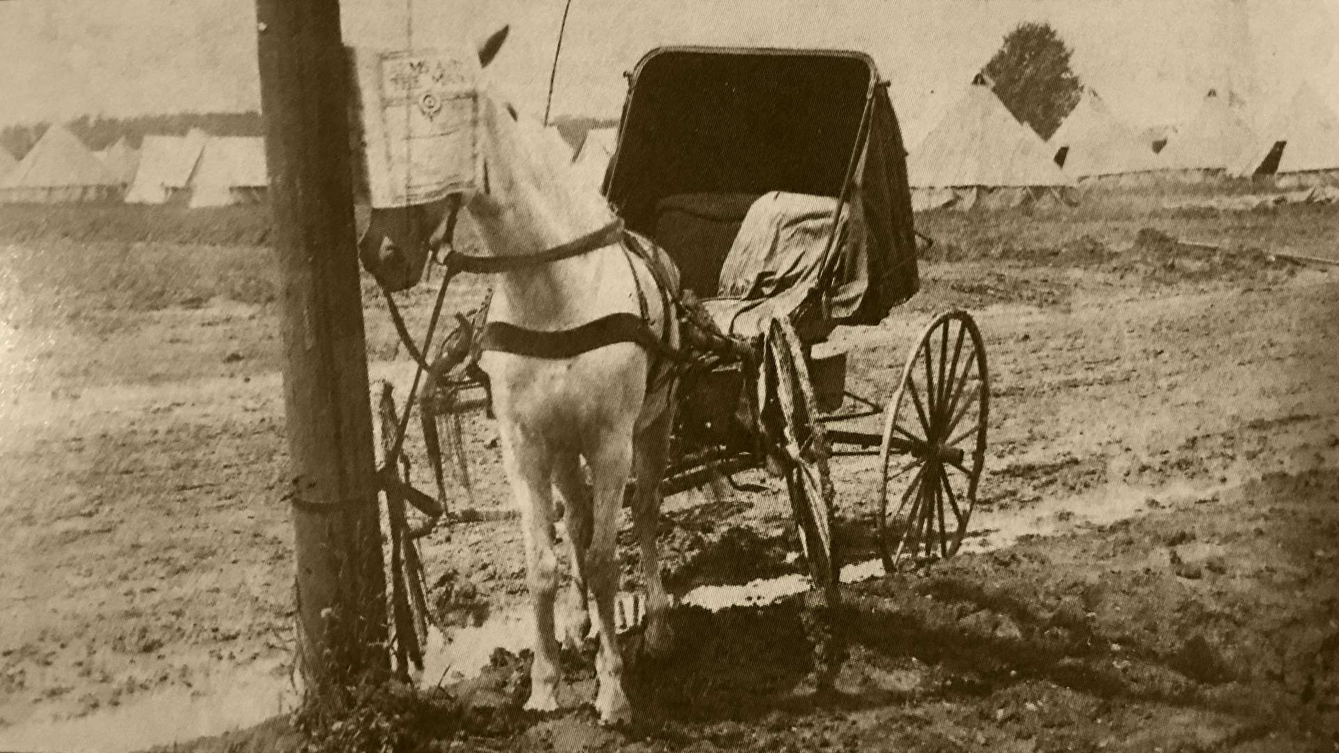 1907 National Matches Horse &amp; Buggy