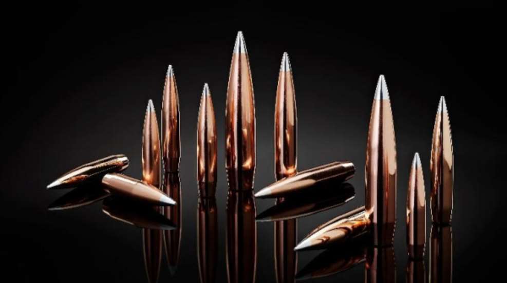 hornady_a-tip1.jpg
