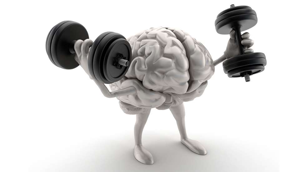 brain.jpg