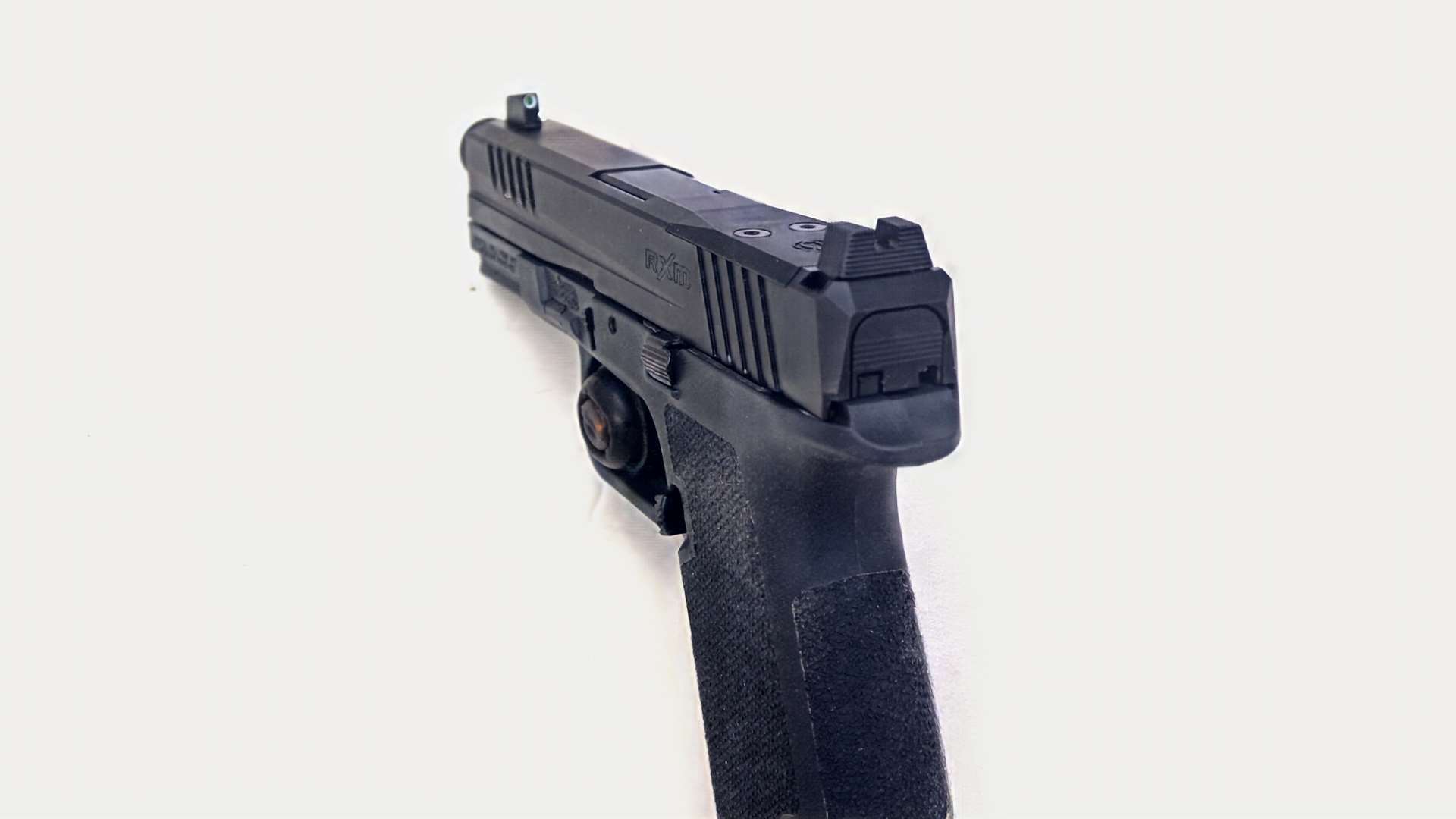 Ruger RXM iron sights