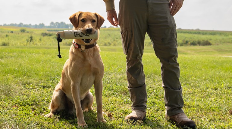 Winchester Debuts New Pet Products | An NRA Shooting Sports Journal