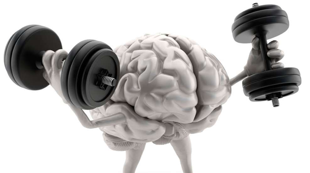 brain.jpg
