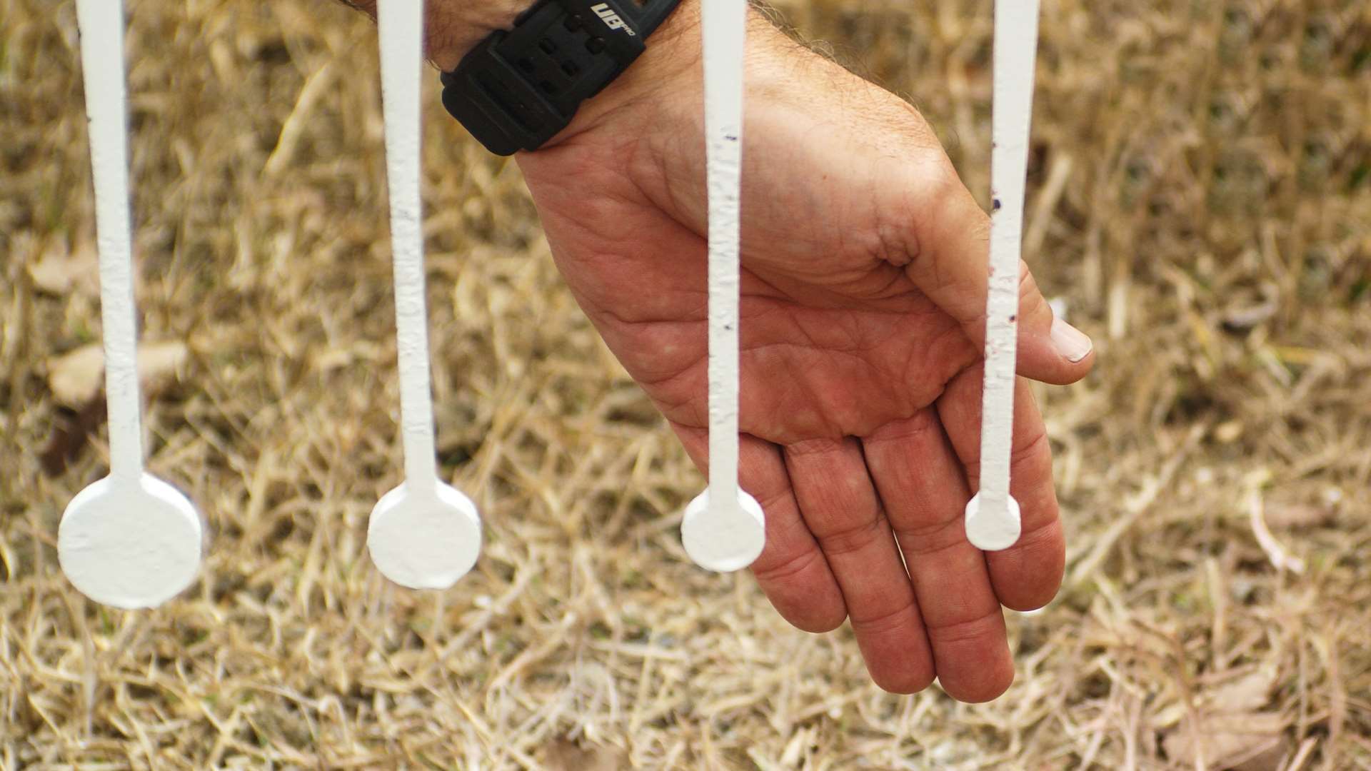 Blackjack competition 1/2-MOA bonus plate at 100 yards distance