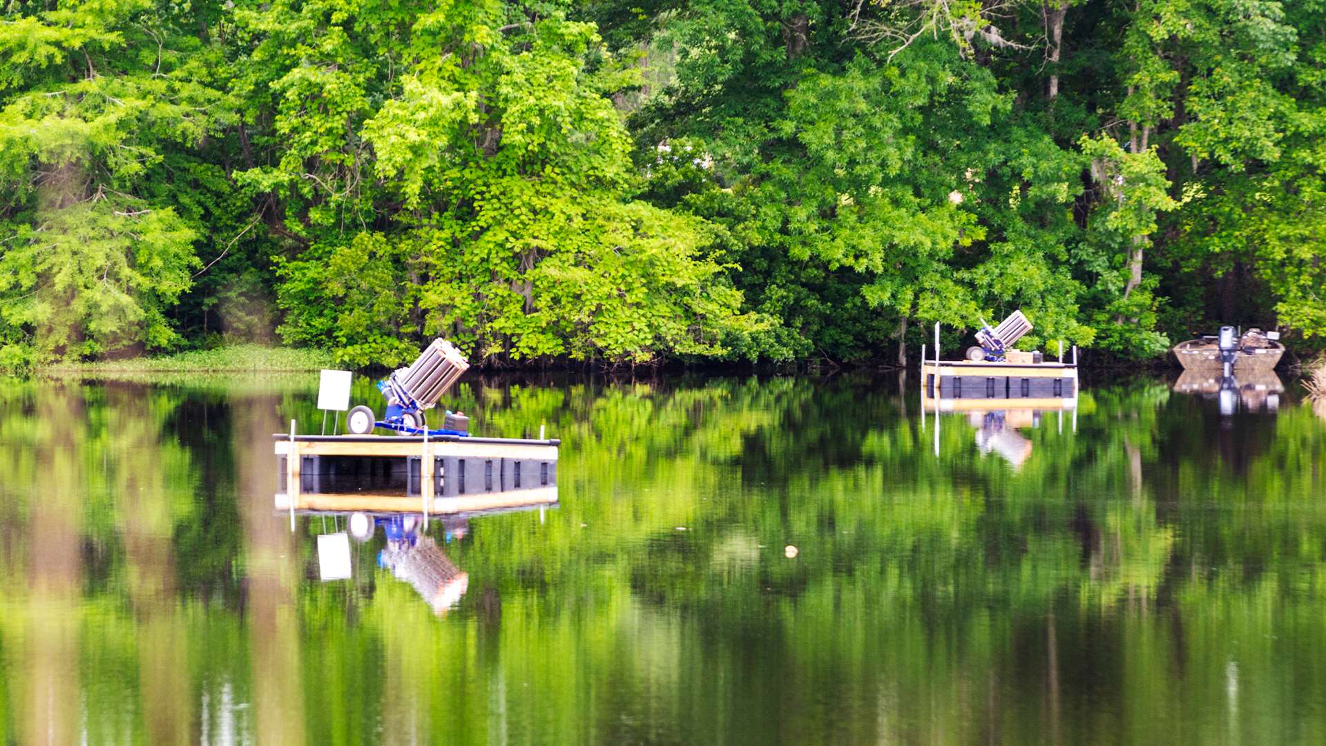 Back Woods Quail Club