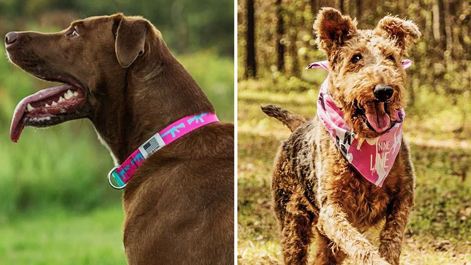 Nine-Line Apparel dog bandannas and collars