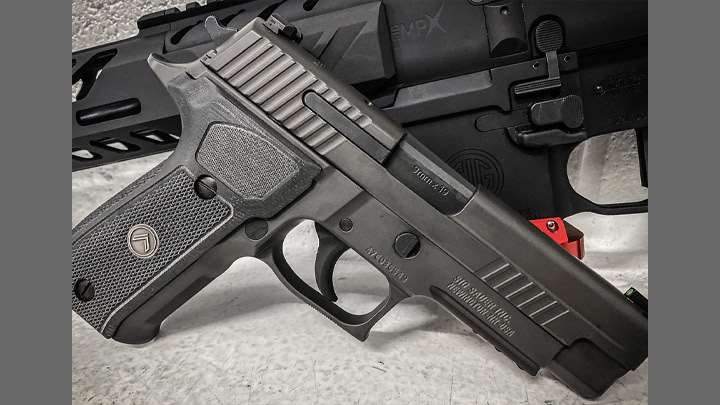 SIG P226 Legion grips