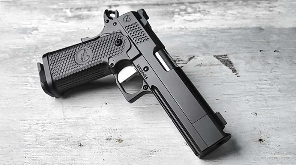 1_nighthawk-trs.jpg