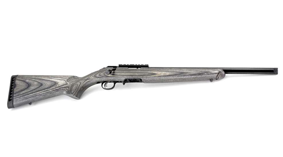 ruger-target1.jpg