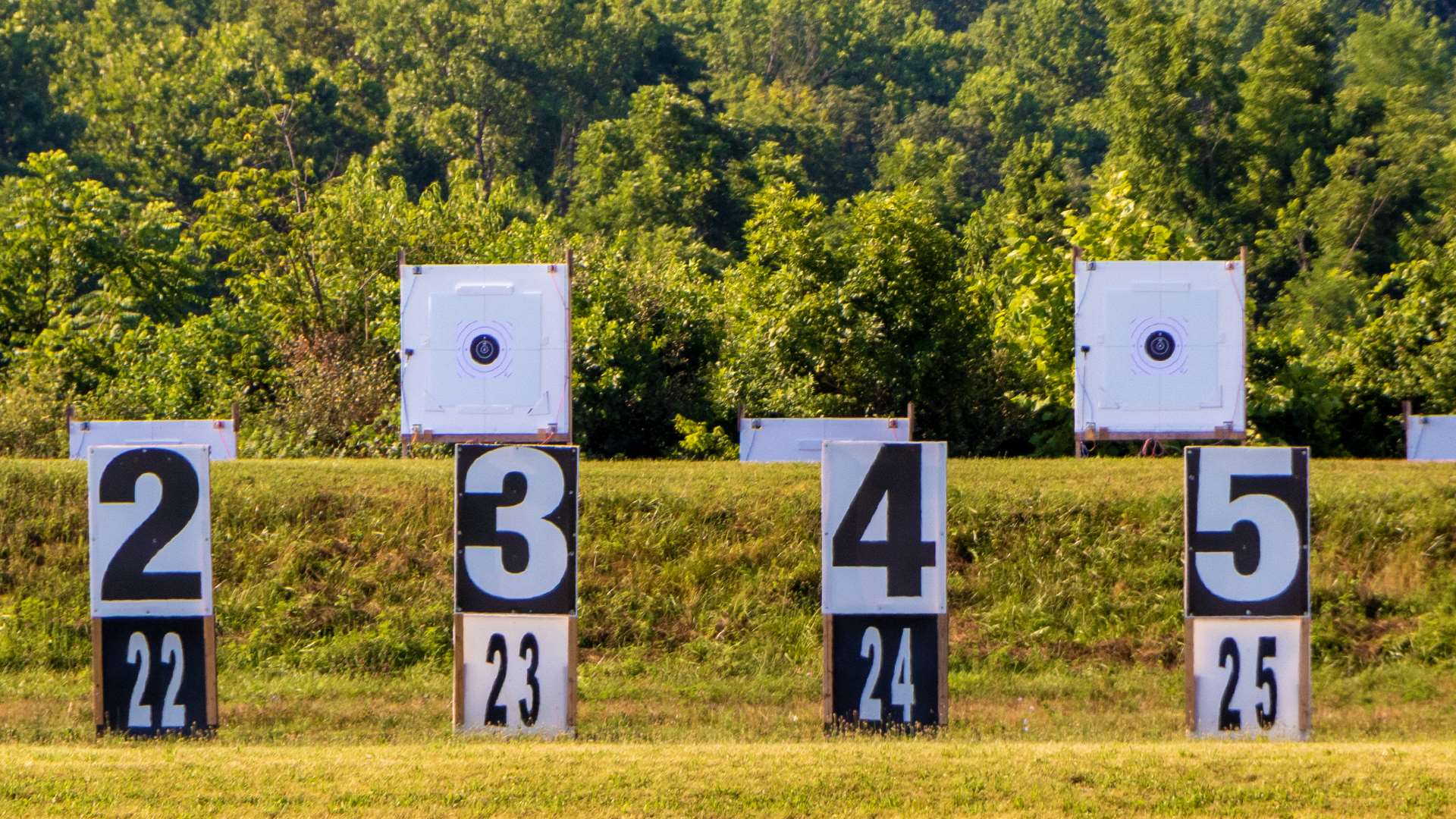 Silver Mountain Targets