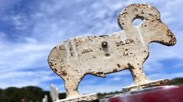 Register Now For The 2025 NRA Rifle Silhouette National Championships | An NRA Shooting Sports Journal