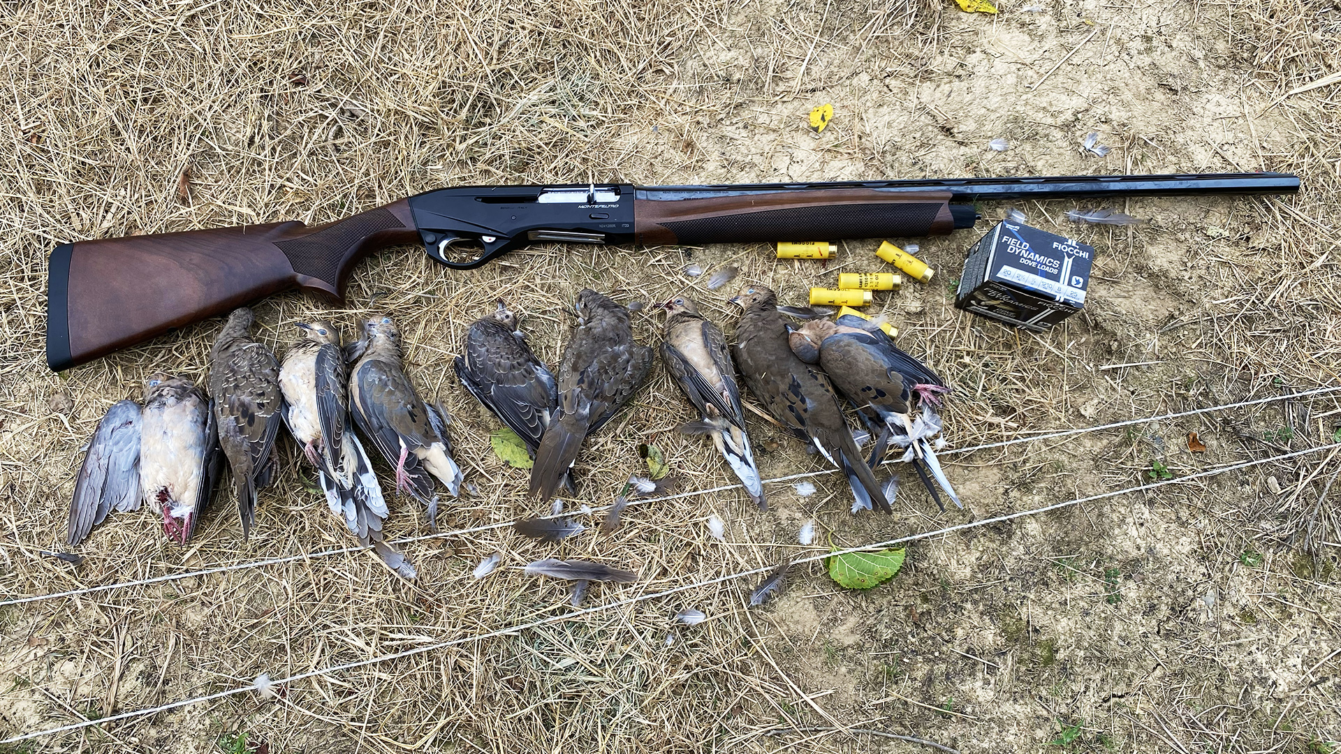 Benelli Montefeltro 20-gauge and doves