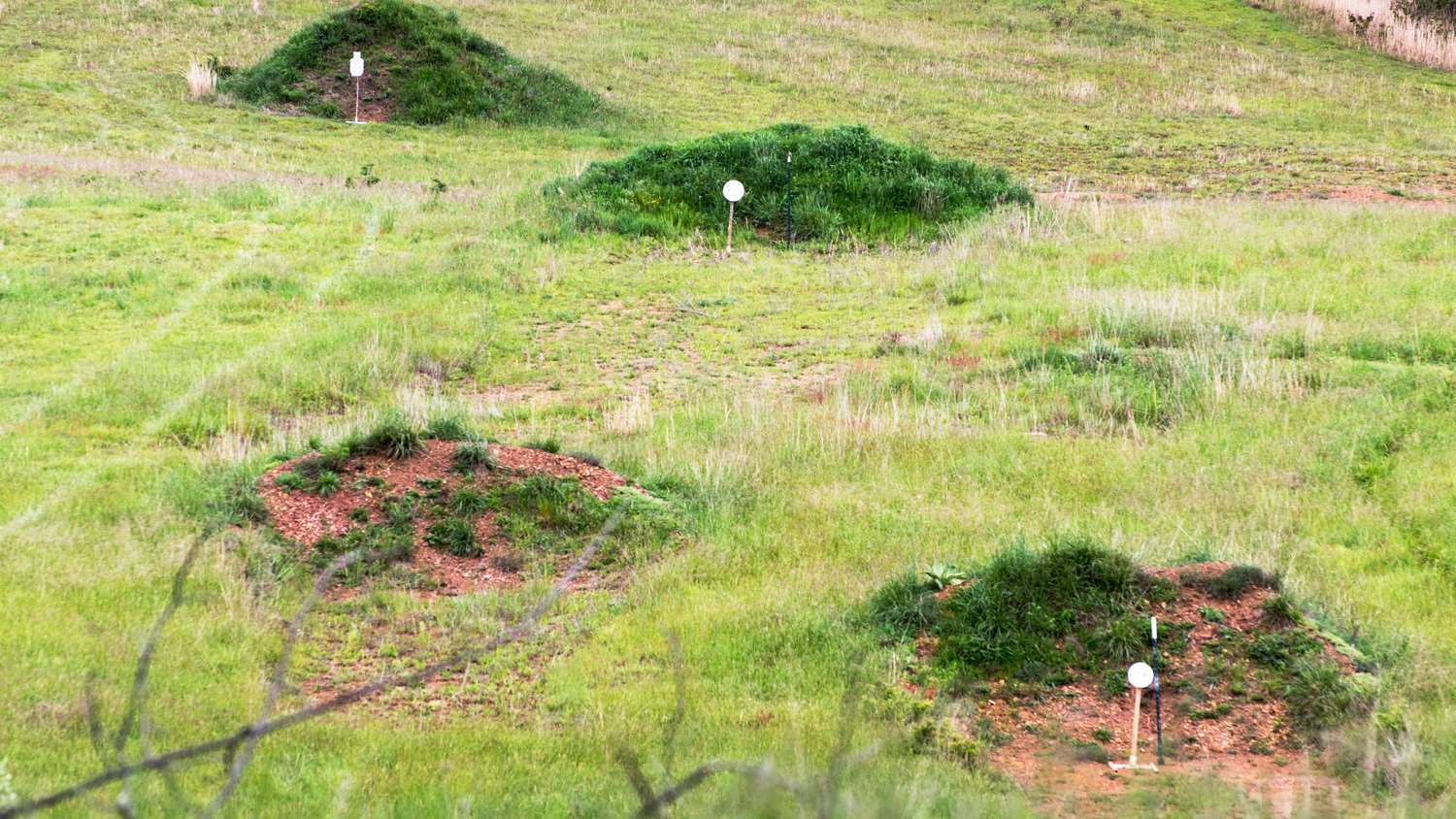 Precision rimfire match with targets out to 289 yards