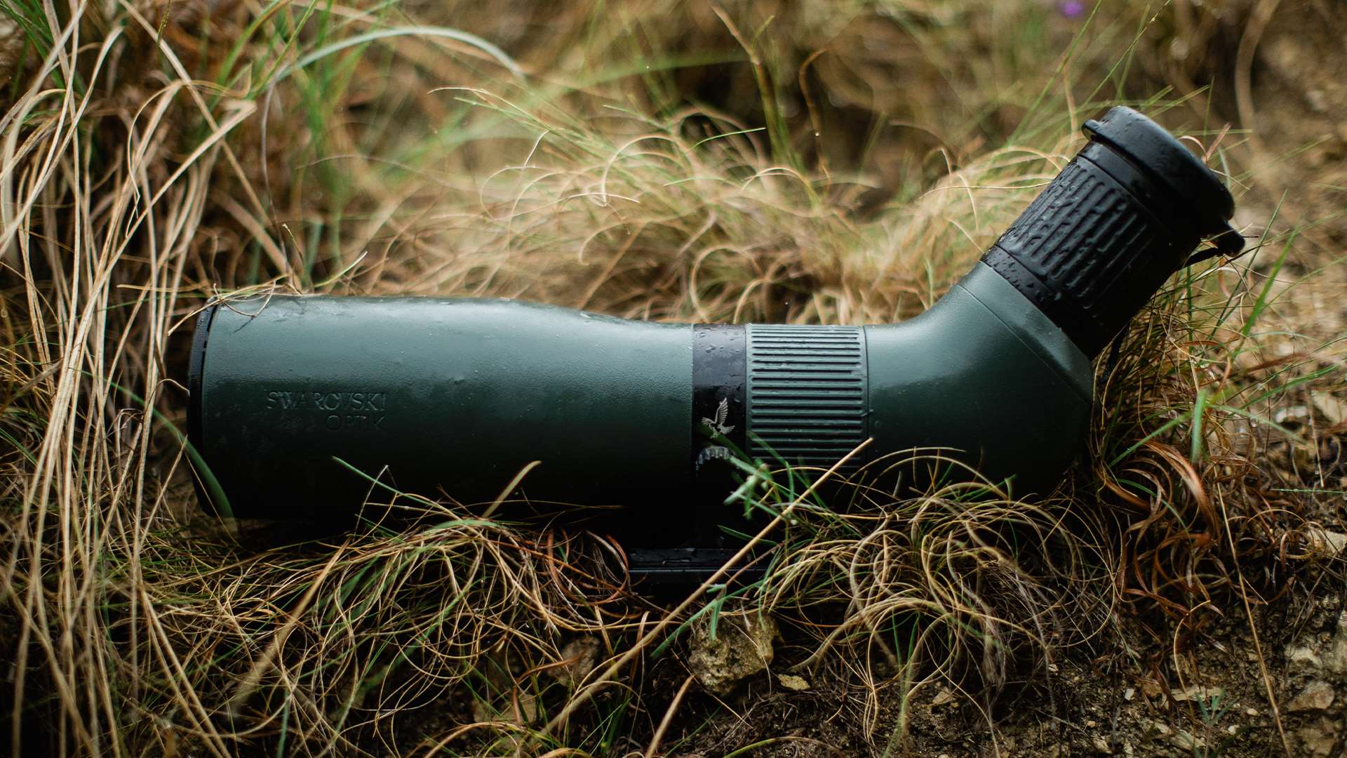 Rain-covered Swarovski AT Endura spotting scope lying in wet grass and brush in the field