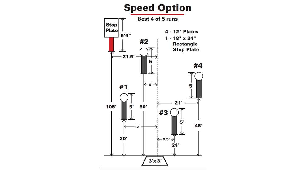 speedoption-1.jpg