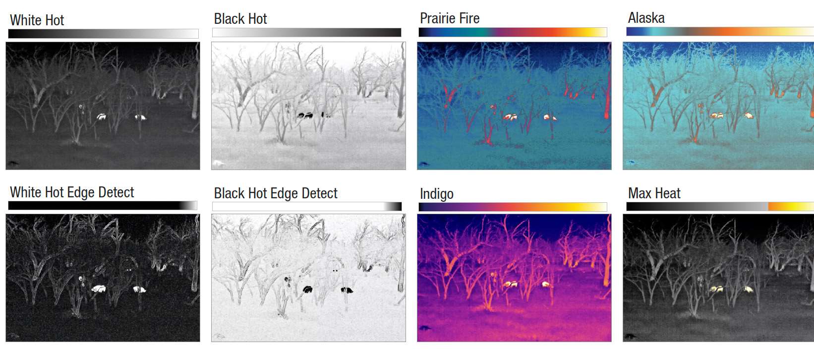 Grid of eight thermal images of animals in an orchard, each labeled with a Trijicon palette, from White Hot and Black Hot to Indigo and Max Heat