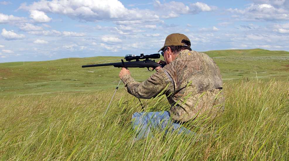 1-31rimfireloads.jpg
