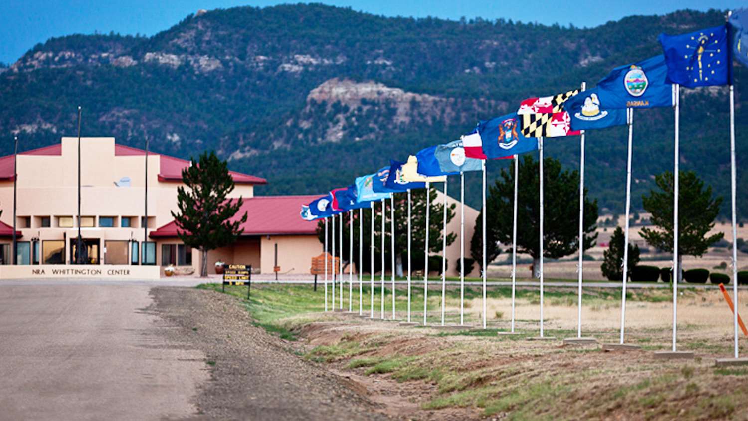 Whittington Center flags