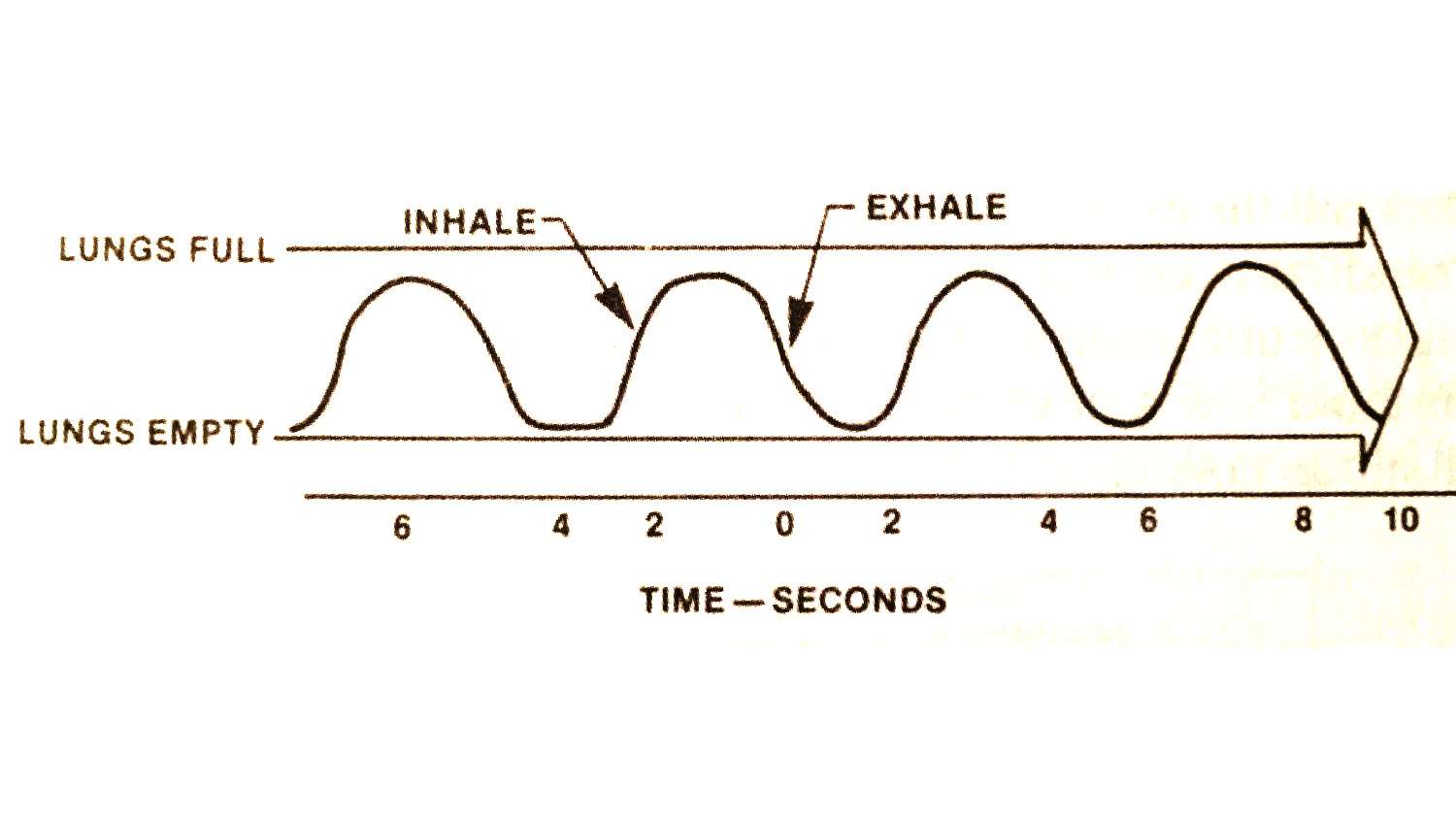 Normal breathing cycle