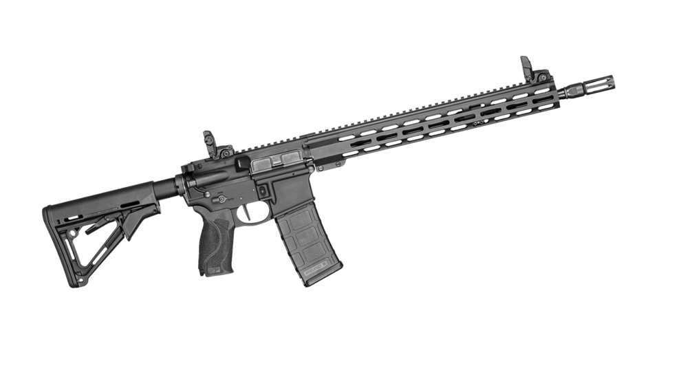 newmandp-2.jpg