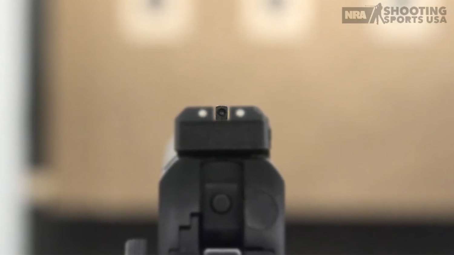 Brian Zins iron sights