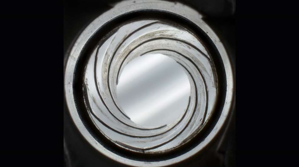 figure1_lead.jpg