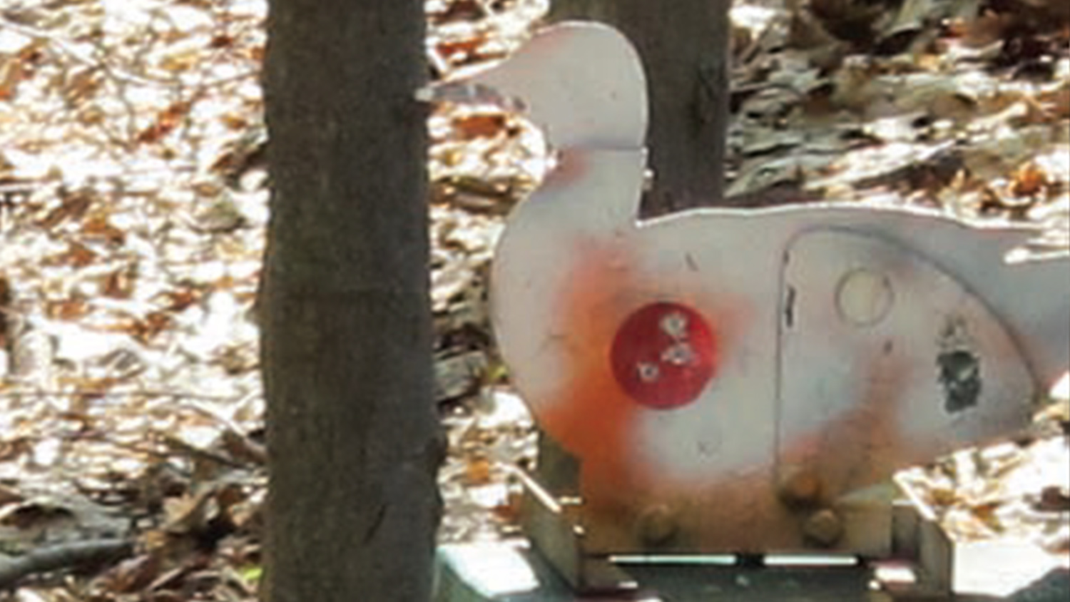 Typical field target