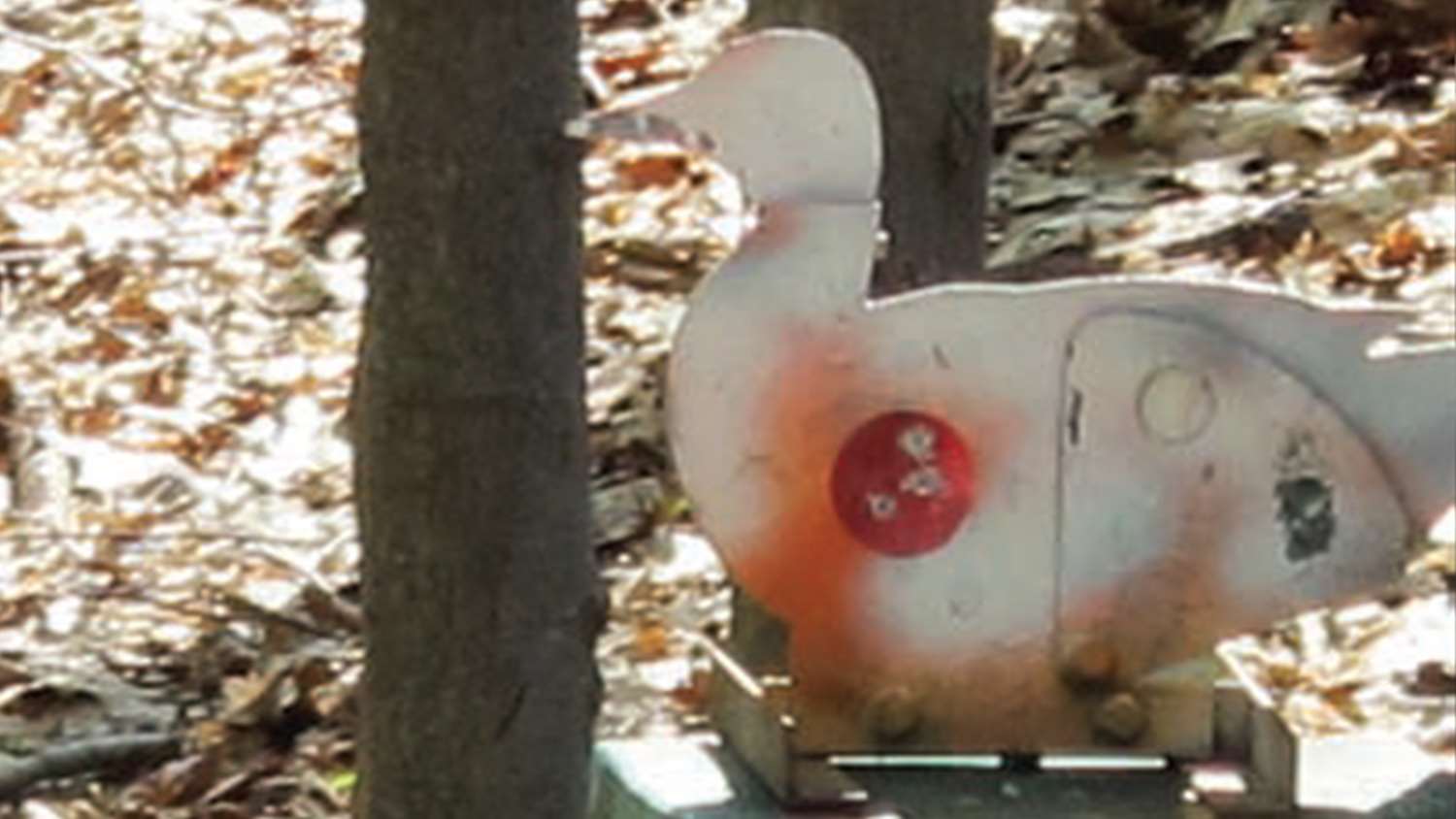 Typical field target